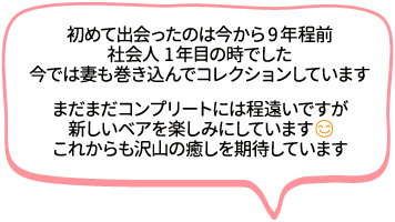 初めて出会ったのは今から9年程前社会人1年目の時でした。今では妻も巻き込んでコレクションしています。まだまだコンプリートには程遠いですが新しいベアを楽しみにしています。これからも沢山の癒しを期待しています