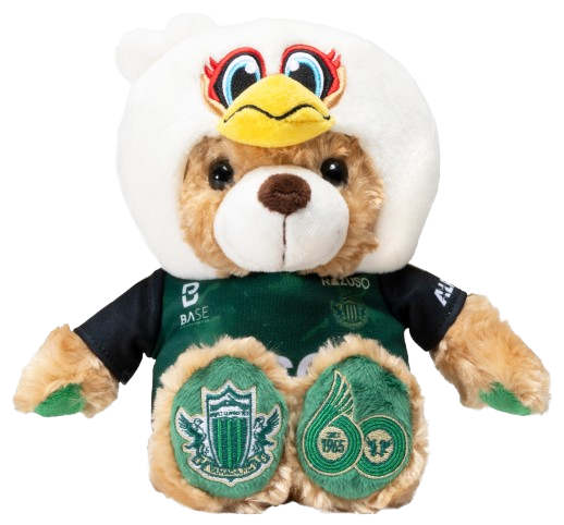 matsumoto-yamaga_front Re